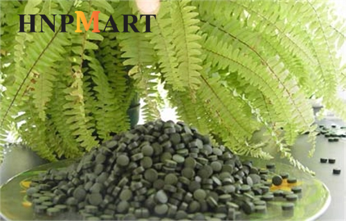 Tảo Biển Xoắn 2000 Viên (tảo tem đỏ) Algae Nhật Bản - Ảnh 5