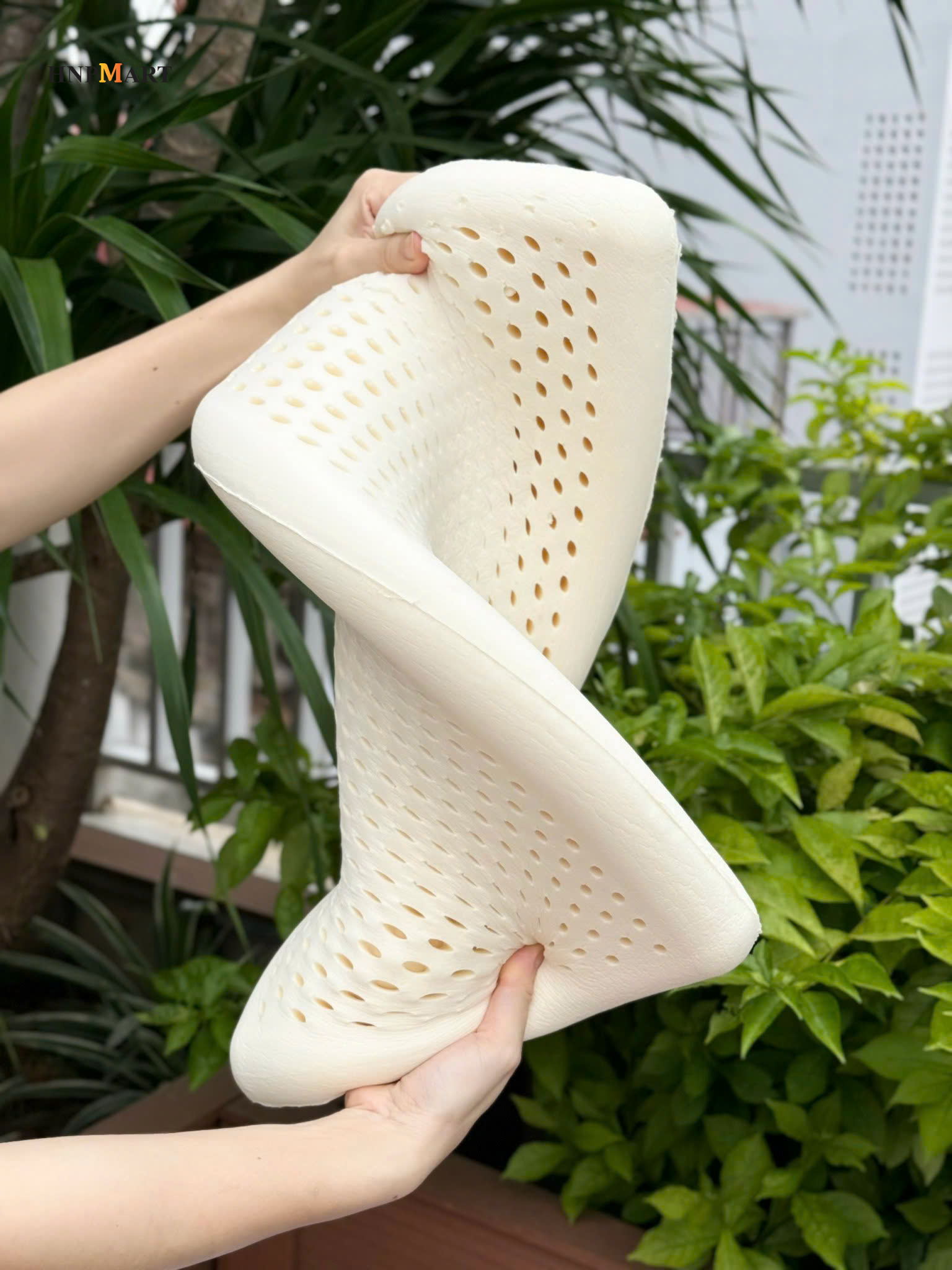 Gối Cao Su Tự Nhiên Kaiyo Dáng Thấp 5Cm - Ảnh 4
